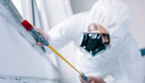 Best Real Estate Pest Inspections  in Attica, MI